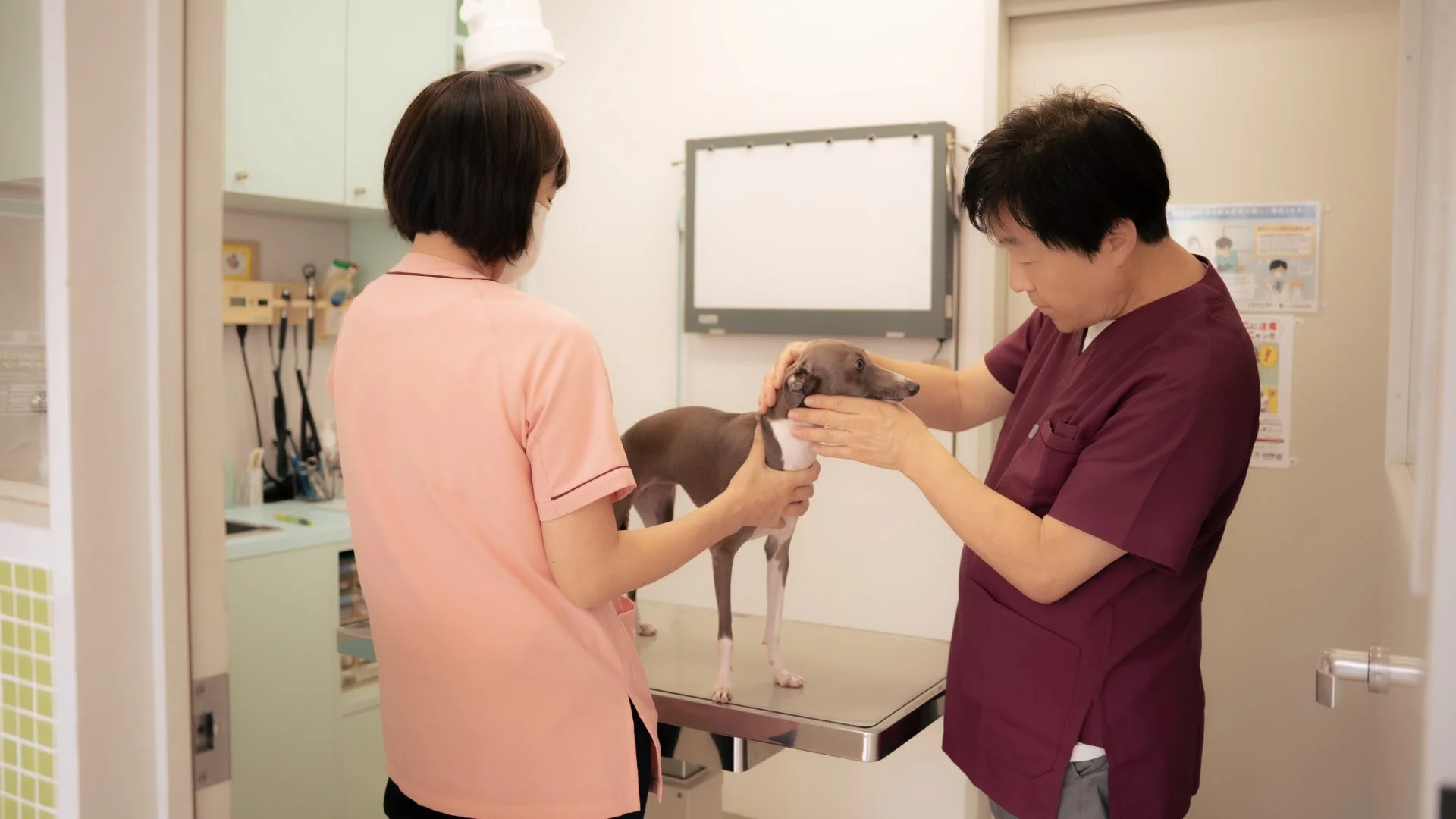 消毒済みの診療器具をトレーに整えて置いた手元